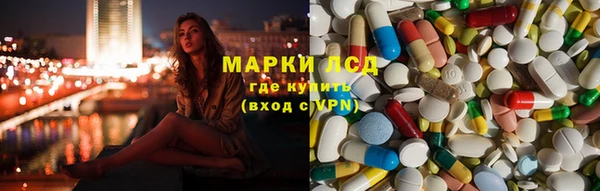 сатива Белокуриха