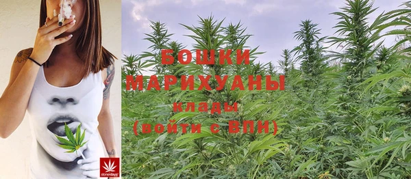 сатива Белокуриха