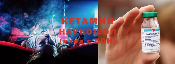 сатива Белокуриха