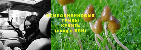 сатива Белокуриха