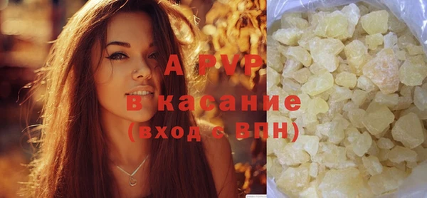 сатива Белокуриха