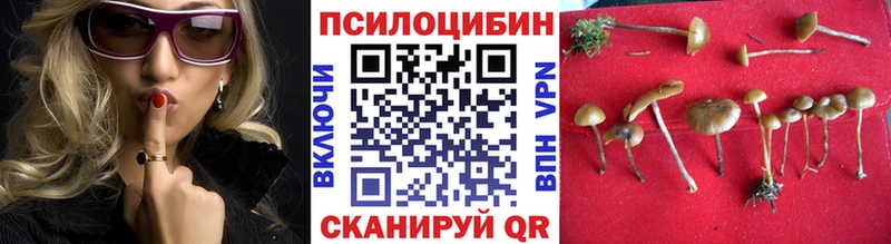 Псилоцибиновые грибы прущие грибы Ельня